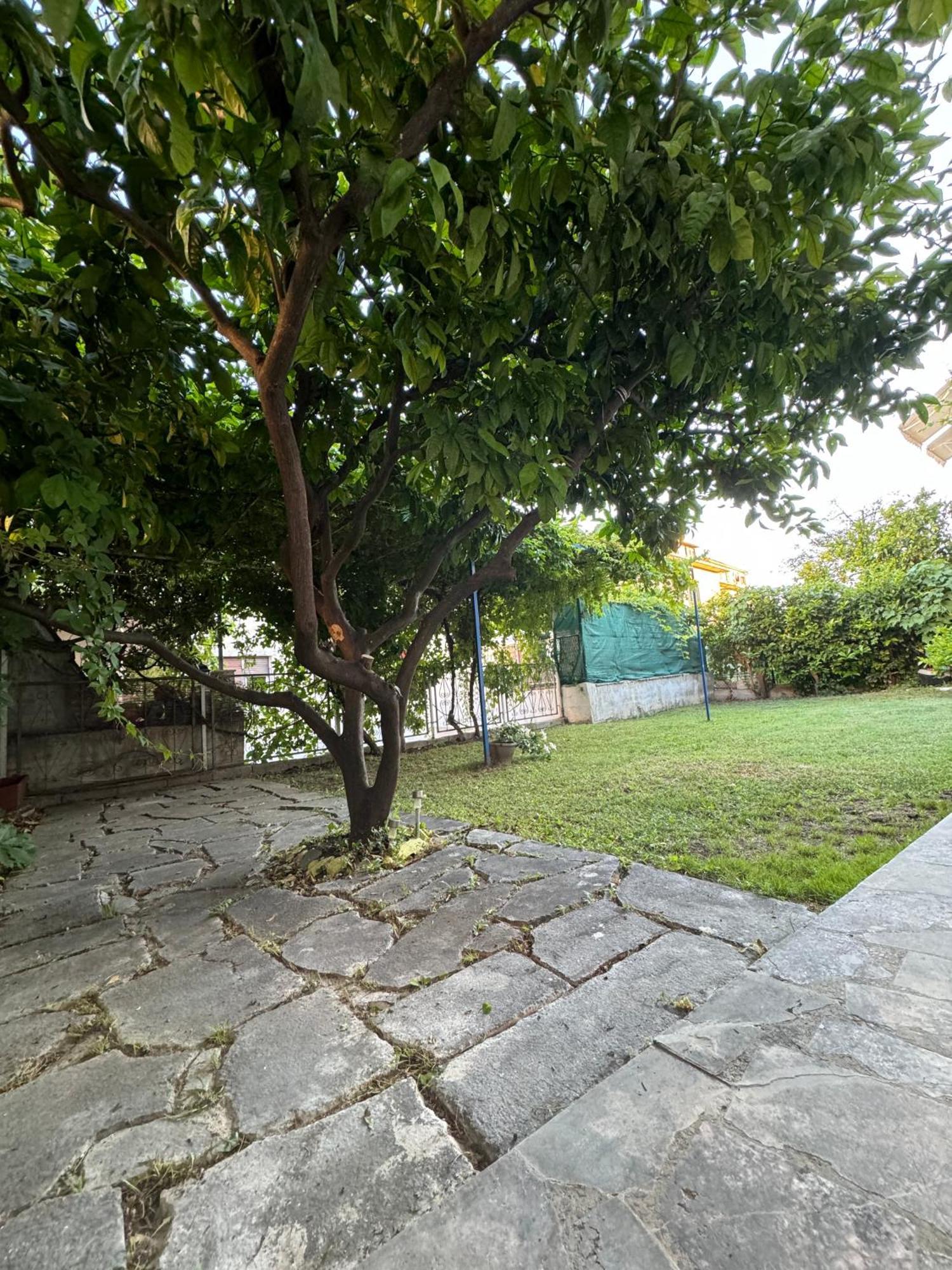 Valentinas Garden Apartment Сплит Екстериор снимка